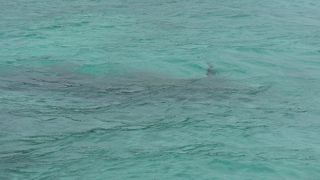 戦時中不時着したゼロ戦がそのままの状態で見ることが出来ます