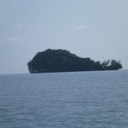 世界遺産・パラオとても愛嬌のある島「クジラ島」　クジラにそっくりです