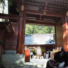 神門より〜良縁祭の笹の輪があったにゃ〜