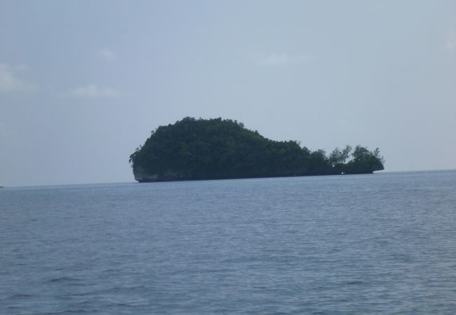 世界遺産・パラオとても愛嬌のある島「クジラ島」　クジラにそっくりです