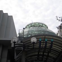 離れて見たドーム全体の外観です