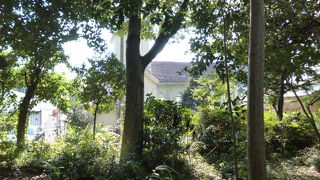 有栖川公園からも見えます