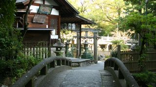 池に囲まれた絶景ポイント