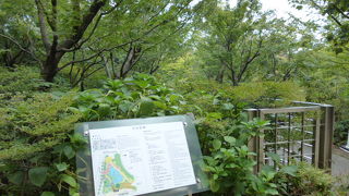 六本木ヒルズとは思えない光景