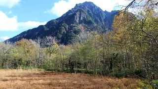 上高地の静かな湿原