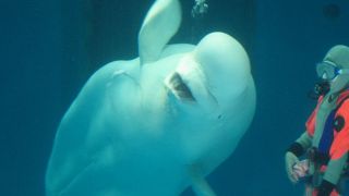 よくまとまっている水族館です！