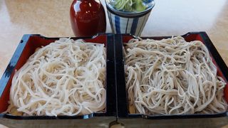 上田城跡公園入口にある千本桜で三色そば