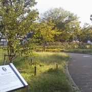 緑豊かな丘の上に「野毛山公園」～横浜～