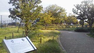 緑豊かな丘の上に「野毛山公園」～横浜～