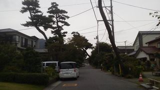 かつての木々の名残も「旧東海道松並木」～大磯～