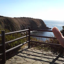 太平洋や対岸の崖などを一望できる「ウミウ展望台」です。