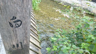 風情ある京都へ、おこしやす！