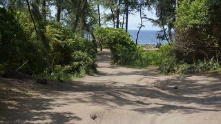 渓谷の下はまた別の景色