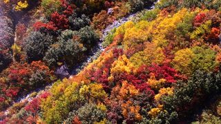 ロープウェイからの景色は最高