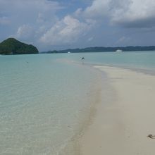 台風のため短くなったロングビーチです