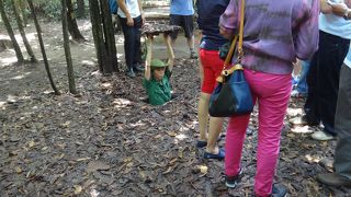 ゲリラ戦法の恐ろしさを体感