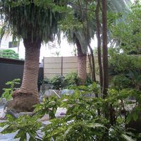 ジャングル風呂