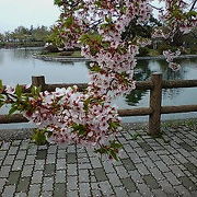 温泉施設のある公園