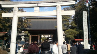 十二支参りのアイディアに感心した！