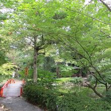 池に赤い橋がかかっています。