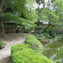 この奥に茶室があります。