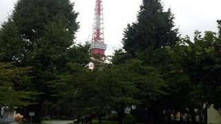 東京タワーを望む広い公園