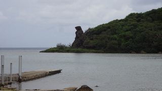 熊の横顔