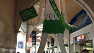 本日はワンピースでした