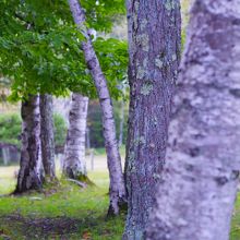 広々としたサイト