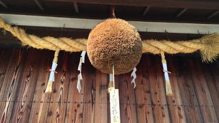 伏見観光の目玉 ♪