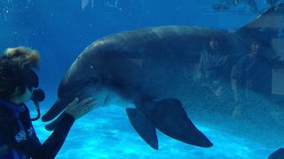 とってもオススメ！