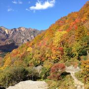 秋山郷の紅葉