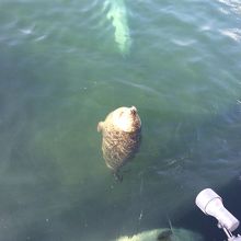 たまにこんな格好をします。