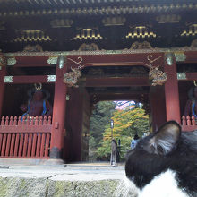 強そうだにゃぁ…