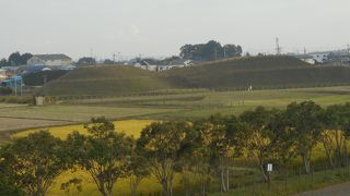 ちょっと感動…行ってよかった