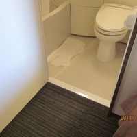 風呂の段差がなく、出入りがスムース