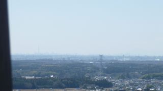 日本一の巨大仏像