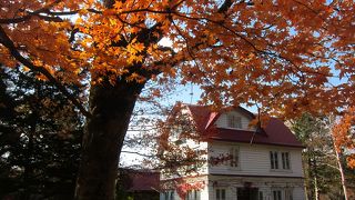 紅葉に囲まれて