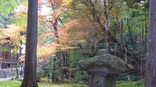 すばらしい紅葉