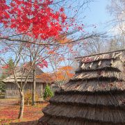 無料のレンタサイクルで紅葉の湖を眺める