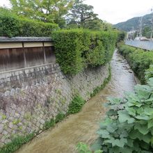 この白川沿いが白川通。