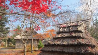 無料のレンタサイクルで紅葉の湖を眺める