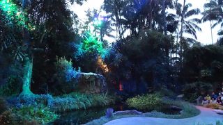 自然な姿の動物を見る