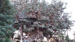 登ってみると楽しい