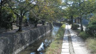 小川にそった散歩道