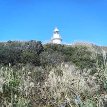 あまり高くない灯台なので、見た目はいまいちです。