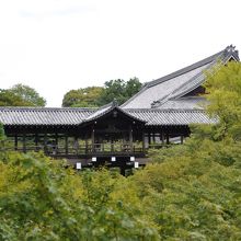 東福寺は狭い路地裏にあるから、歩いて地図みて行きましょう！