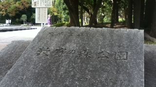 緑豊かで大変広い公園