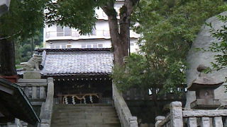 寒くなると手水舎の温泉から湯気が見えます