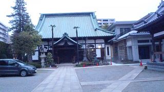 細長シュロの木